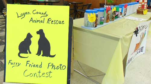 Furry Friend Photo Contest
